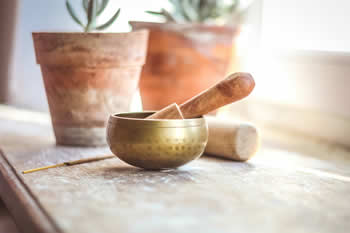 Bowl and potted plants