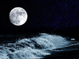 shutterstock_54414493