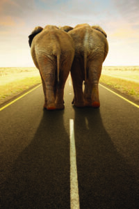 shutterstock_111116921